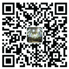 官方微信號(hào)